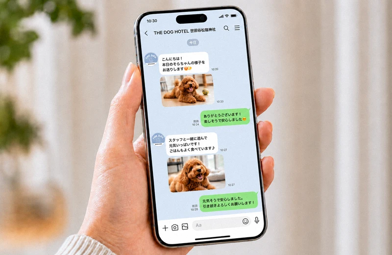 LINEで愛犬の写真レポートを確認するイメージ